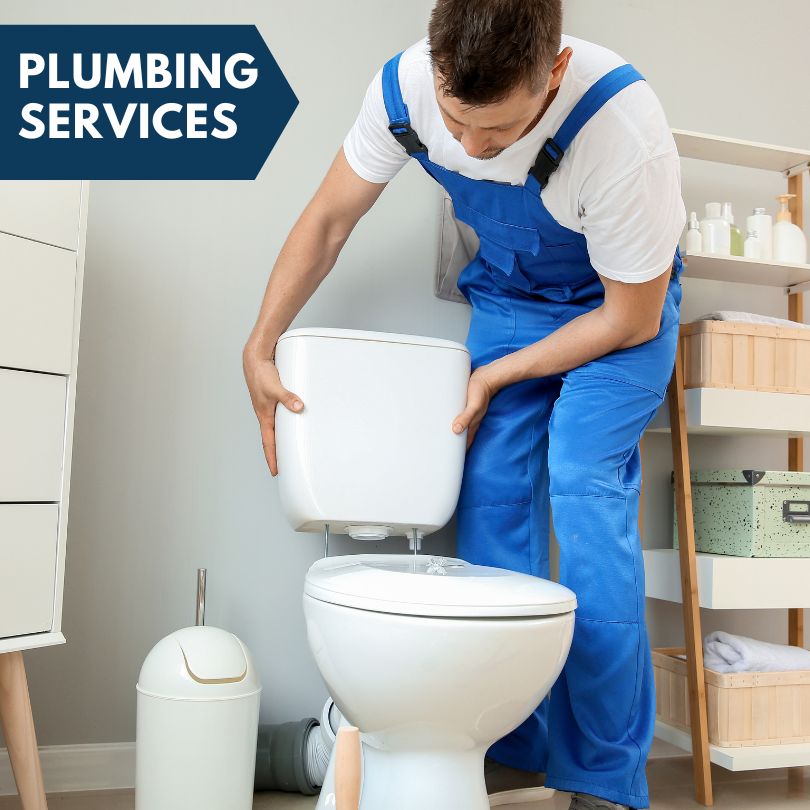 Plumbing Company in New Port Richey, FL